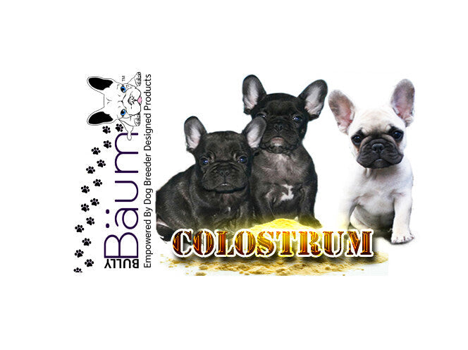 Colostrum