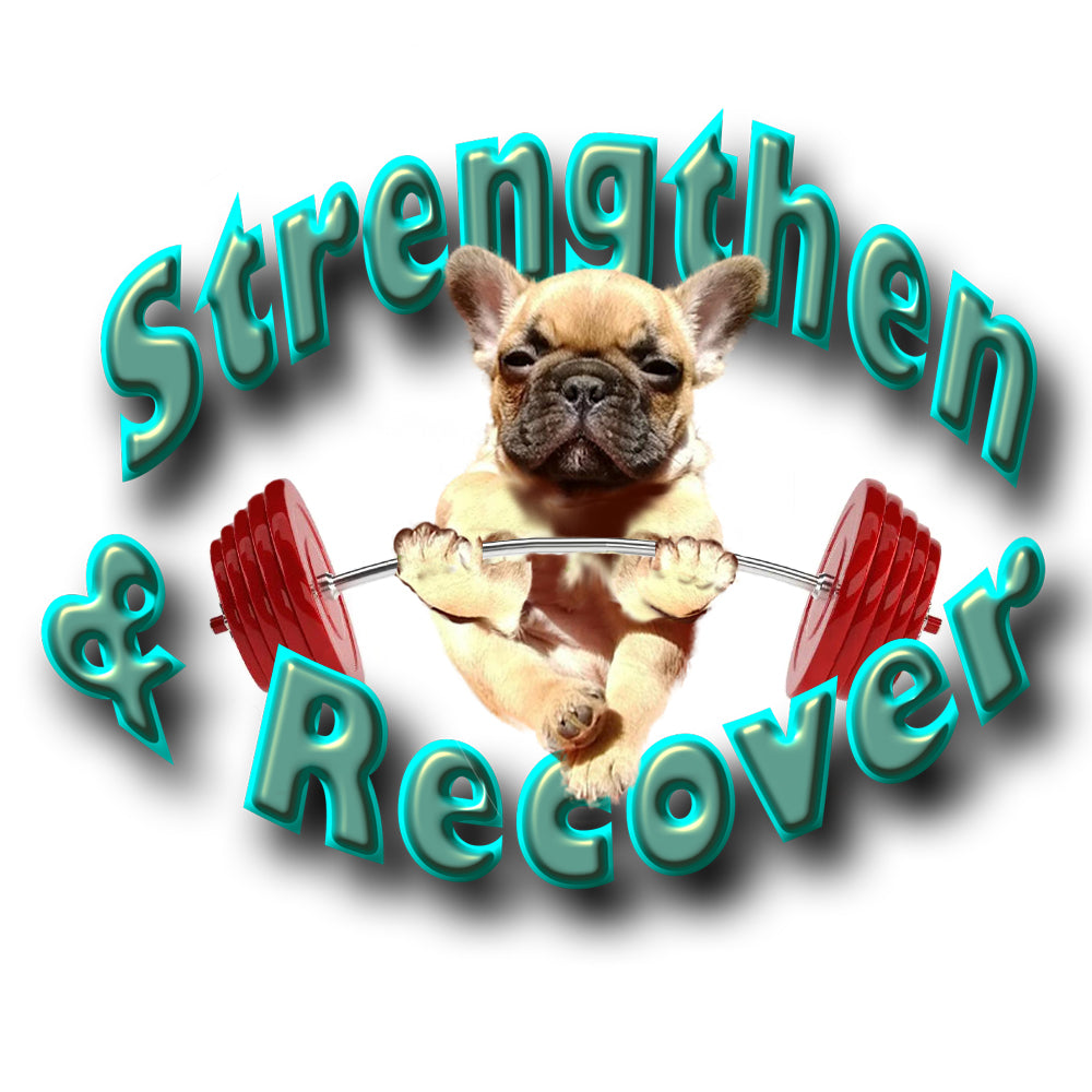 Bully Baum Daily Care & Emergency Rescue Kit