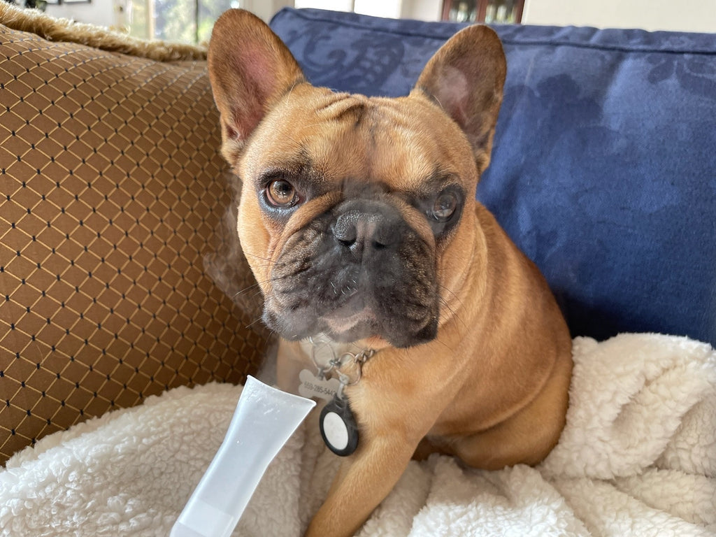 Bully Baum Daily Care & Emergency Rescue Kit