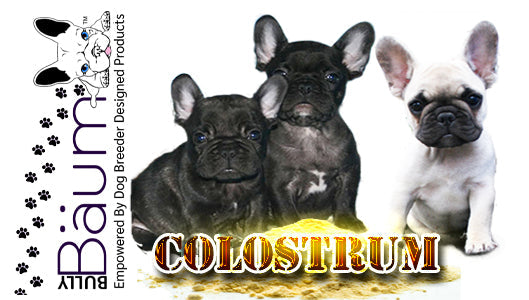 Bully Baum Daily Care & Emergency Kit