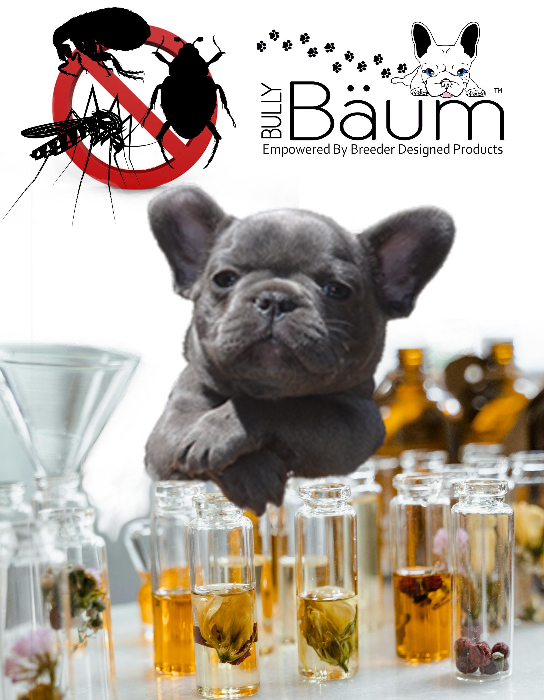 All Natural Flea, Mosquito, and Tick Repellent