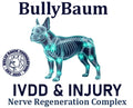IVDD & Injury Support
