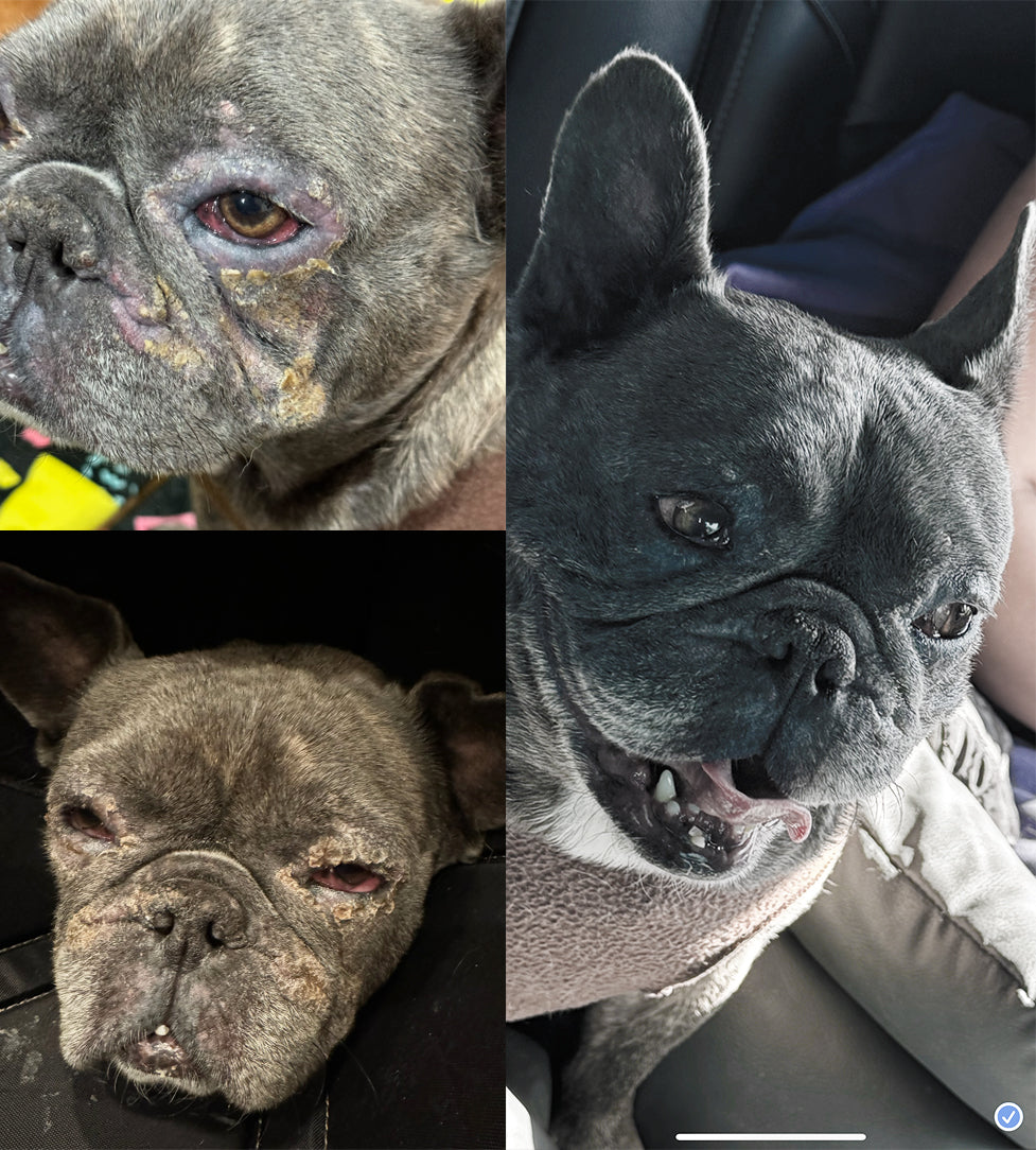 Skin Therapy Collection