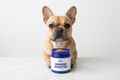 french bulldog holding open blue jar filled with brown powder labeled Bully Baum Immune Booster