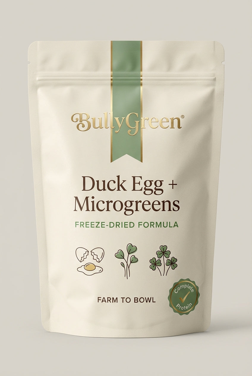 🥚 EGG + MICROGREENS KETOGENIC GUT HEALING & IMMUNE SUPPORT
