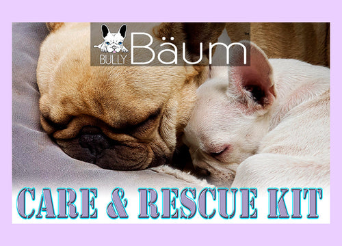 Bully Baum Daily Care & Emergency Kit