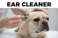 person cleaning french bulldog ear with qtip and text reading ear cleaner
