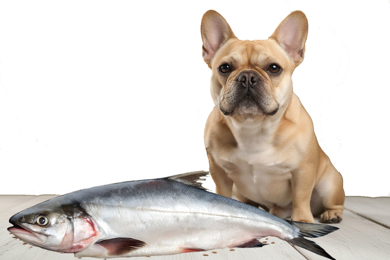 Salmon & Flaxseed Oil