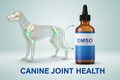 title DMSO with dog skeleton with joints highlighted